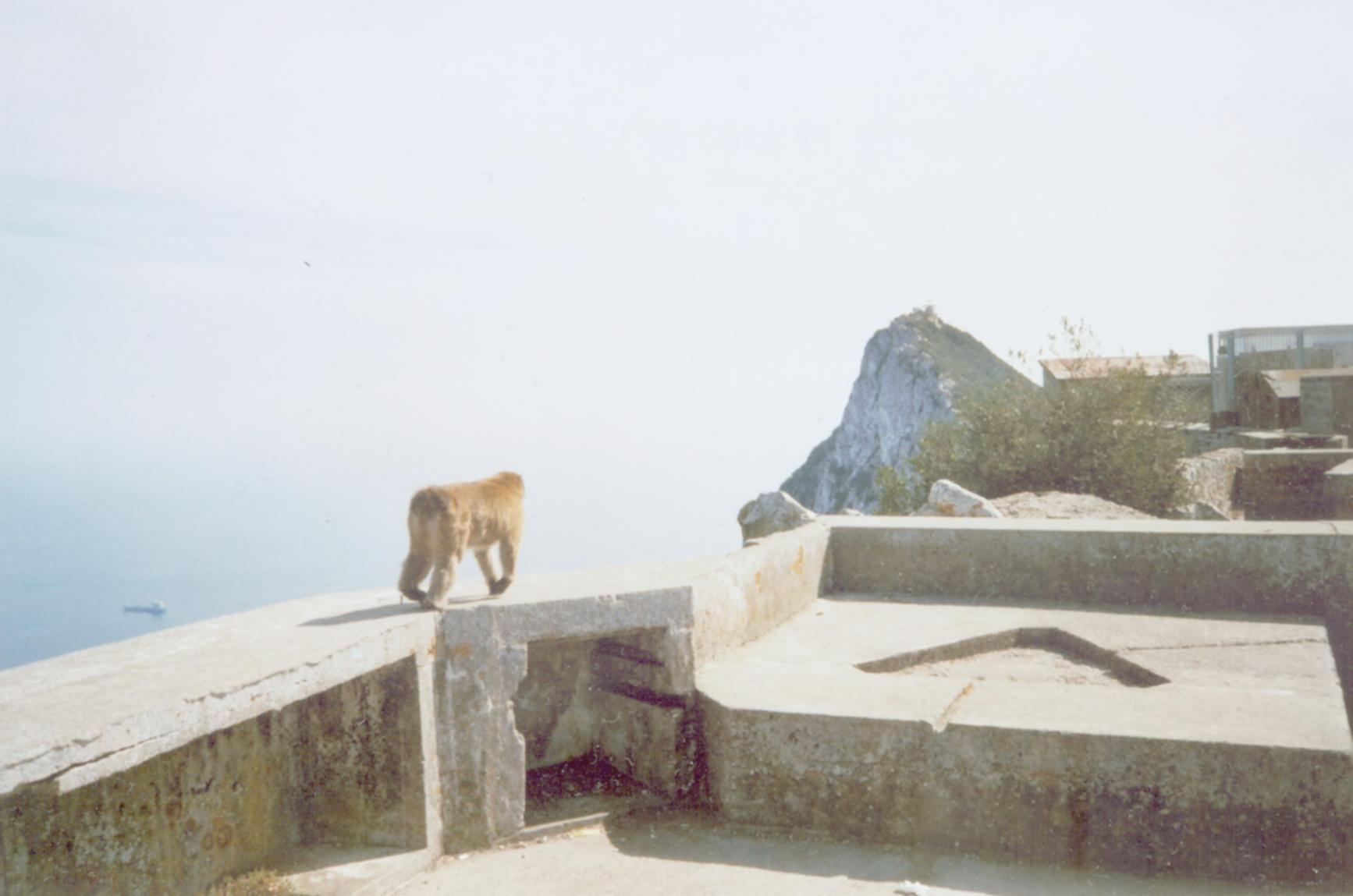 2013-and-gibraltar.jpg