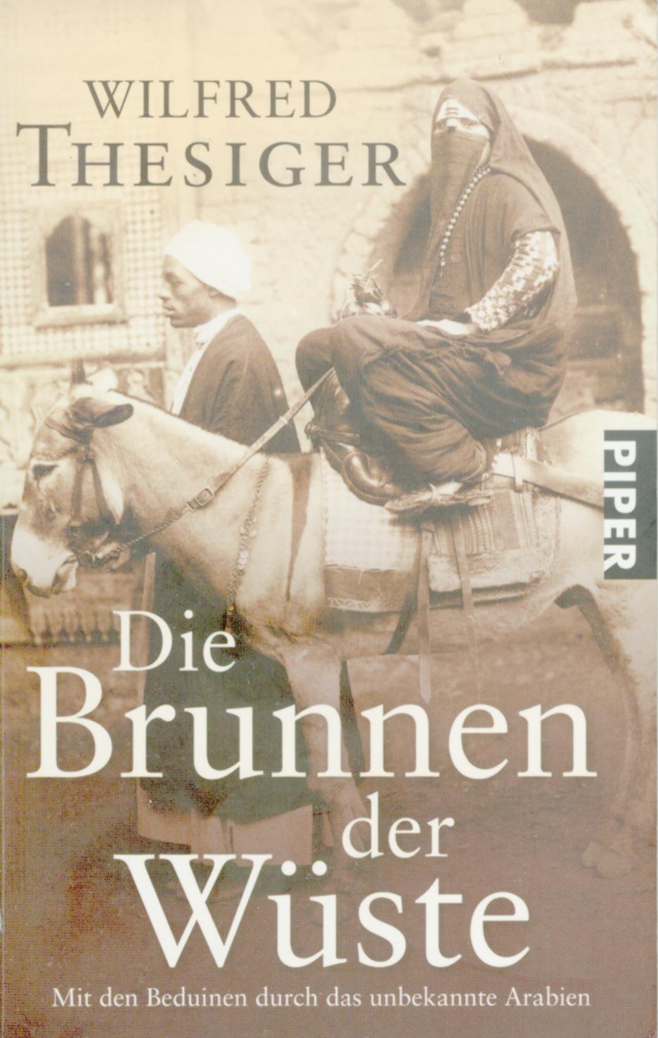 bmatzer_BuchDieBrunnenDerWueste.jpg