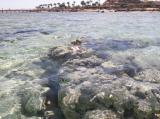 Flamenco Beach Landein Flamenco Beach Landein
